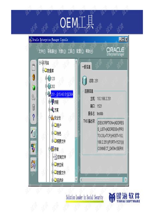 Oracle數(shù)據(jù)庫管理與開發(fā) 構建企業(yè)數(shù)據(jù)核心的基石